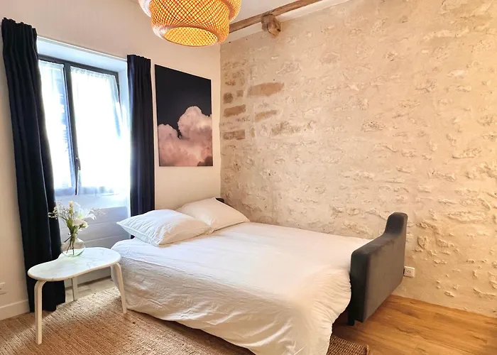 Duplex Standing 7Min➤Fontainebleau-Insead⎮45Min➤Paris