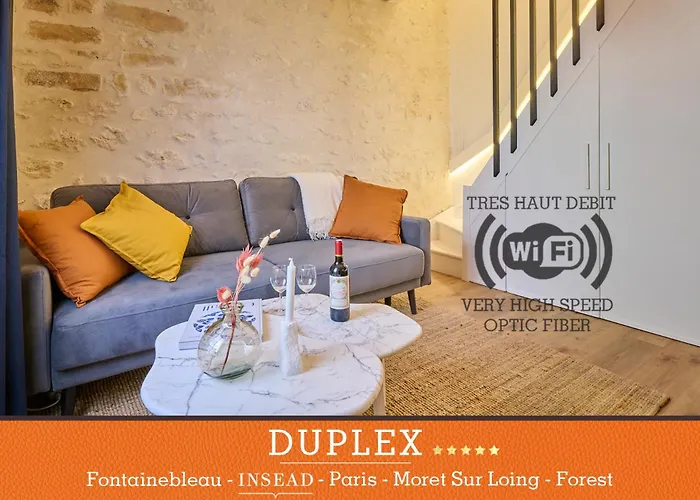 Duplex Standing 7Min➤Fontainebleau-Insead⎮45Min➤Paris